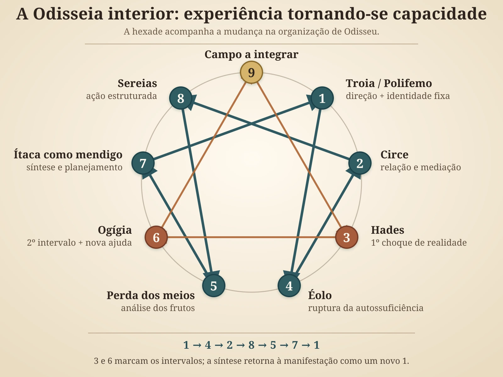 Eneagrama interno da Odisseia, com a transformação de Odisseu pela sequência 1-4-2-8-5-7 e pelos intervalos 3 e 6.